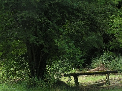DIVERS 2009 632